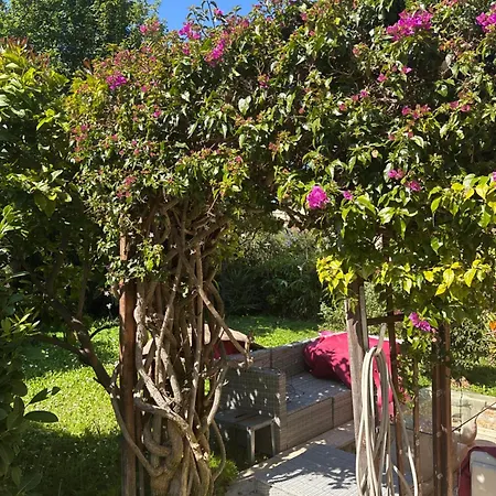 Centre Avec Parking Et Jardin Канны