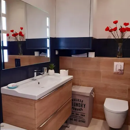 Centre Avec Parking Et Jardin Cannes